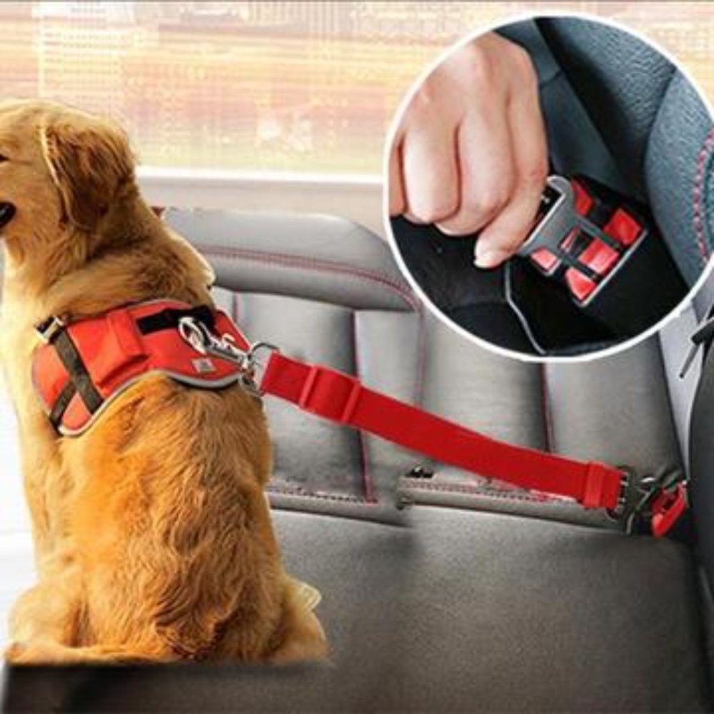 Adjustable Pet Seatbelt Harness